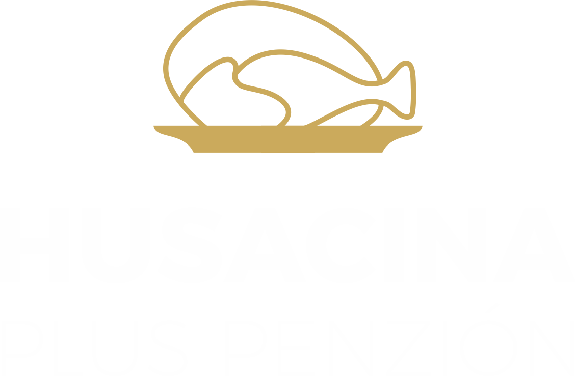 Husacina Plus Logo